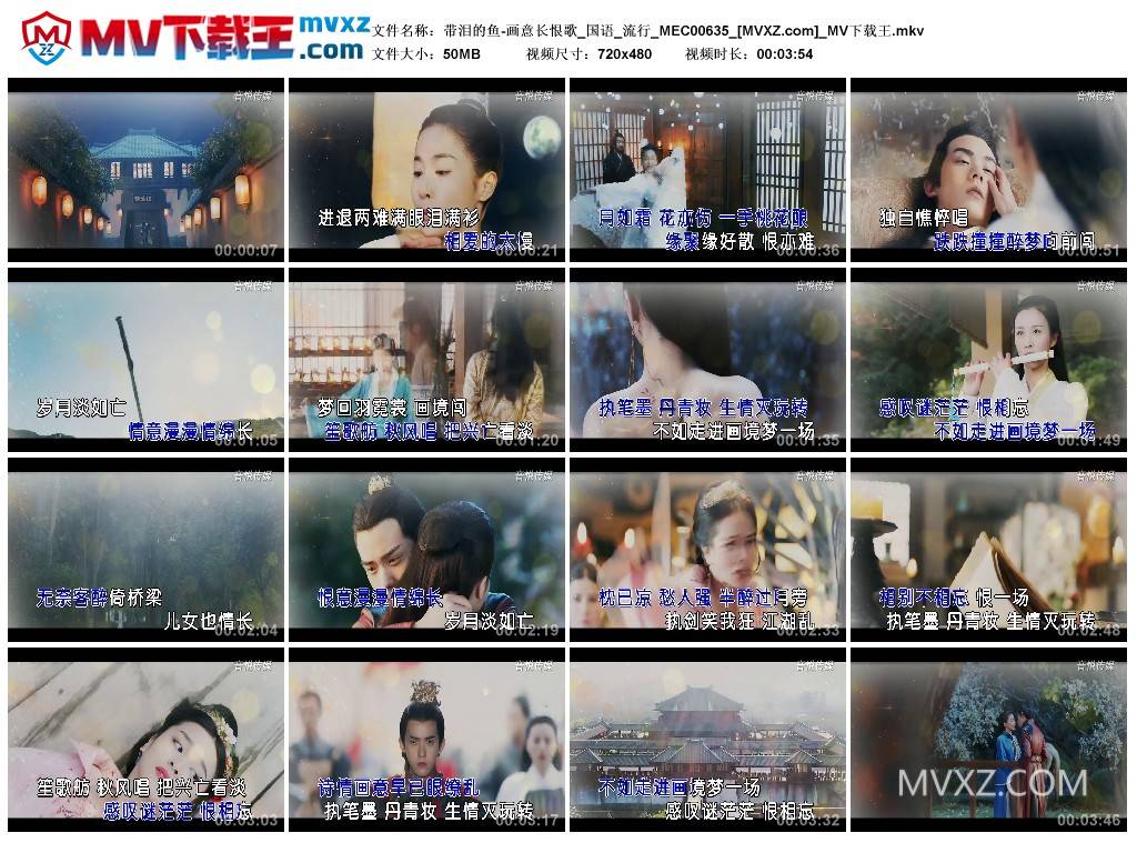 带泪的鱼-画意长恨歌_国语_流行_MEC00635